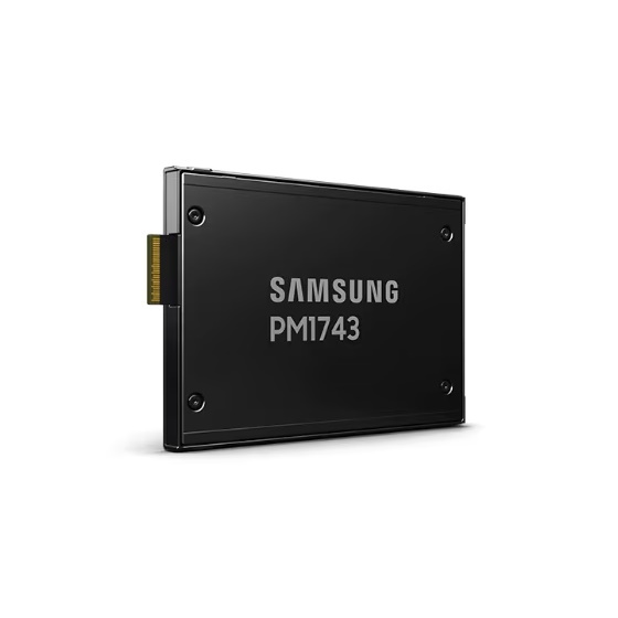 Samsung PM1743 U.2 2,5 PCIe 5.0 NVMe SSD 1.92TB 1 DWPD