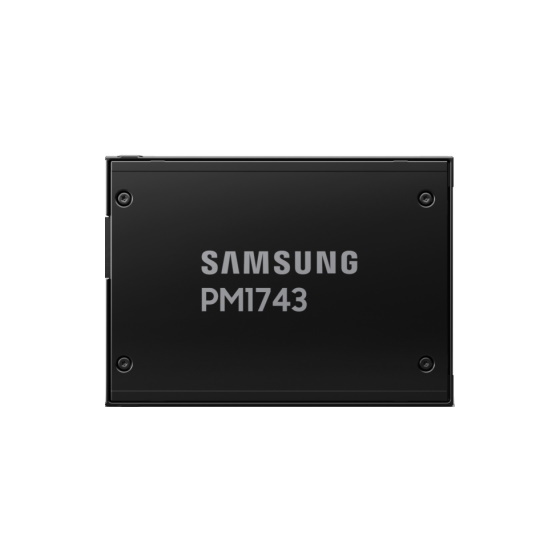 Samsung PM1743 U.2 2,5 PCIe 5.0 NVMe SSD 1.92TB 1 DWPD