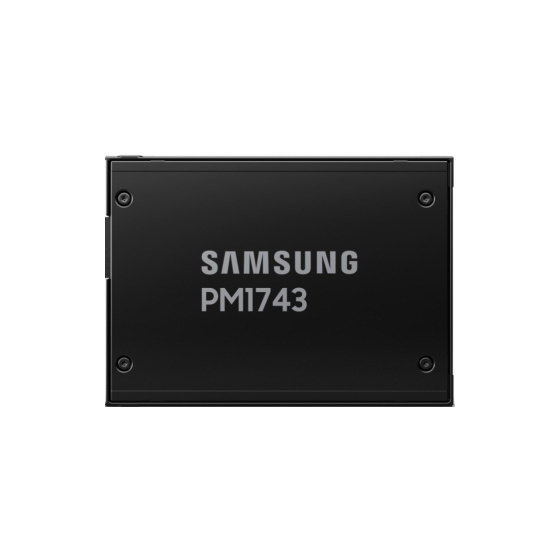 Samsung PM1743 U.2 2,5 PCIe 5.0 NVMe SSD 15.36TB 1 DWPD